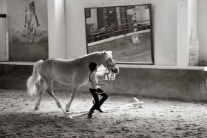 037 ATT sportiva.jpg