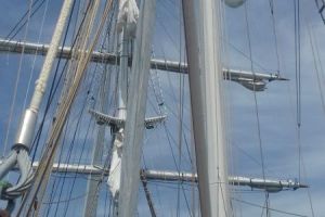 mare 3 alberatura.jpg