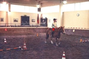 015 VN 3 a v maneggio.jpg