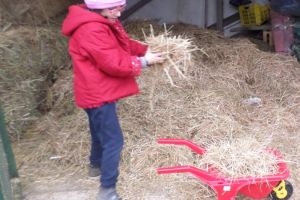 027 ATT a terra1.JPG