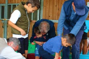 048 ATT vendemmia.jpg