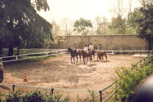 021 VN 4a recinto.jpeg