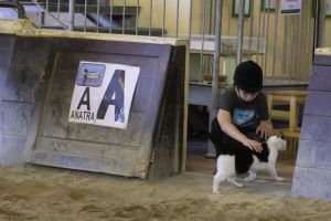 069 EMO Milu paz.jpg