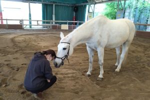 033 ATT covid adulti.jpg