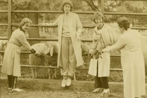 013 VN 1a montoni.jpg