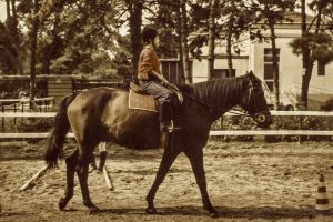 019 VN 6a terapia2.jpg