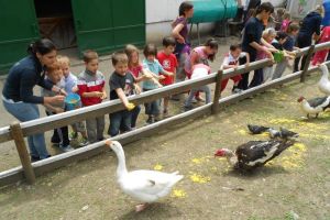 038 ATT visita classe.jpg