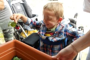 057 att orto nemo.jpg