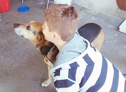 Il Centro di Referenza Nazionale per gli Interventi Assistiti con gli Animali al Centro