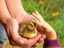 Visite didattico-educative per le classi dei nostri bambini